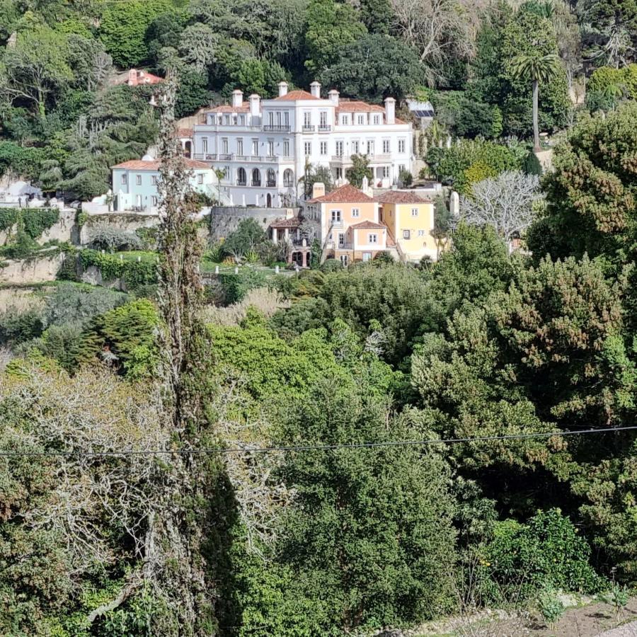 Quinta Da Bella Vista - Historic Home And Farm Sintra Exterior foto